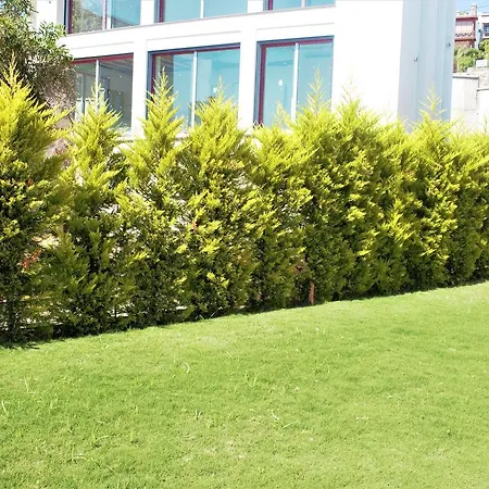 Vila Jasmina Aratepe Mahallesi *